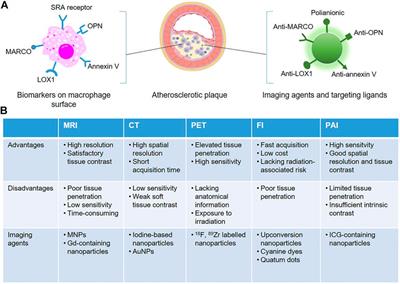 Macrophage-targeted nanomedicine for the diagnosis and management of atherosclerosis